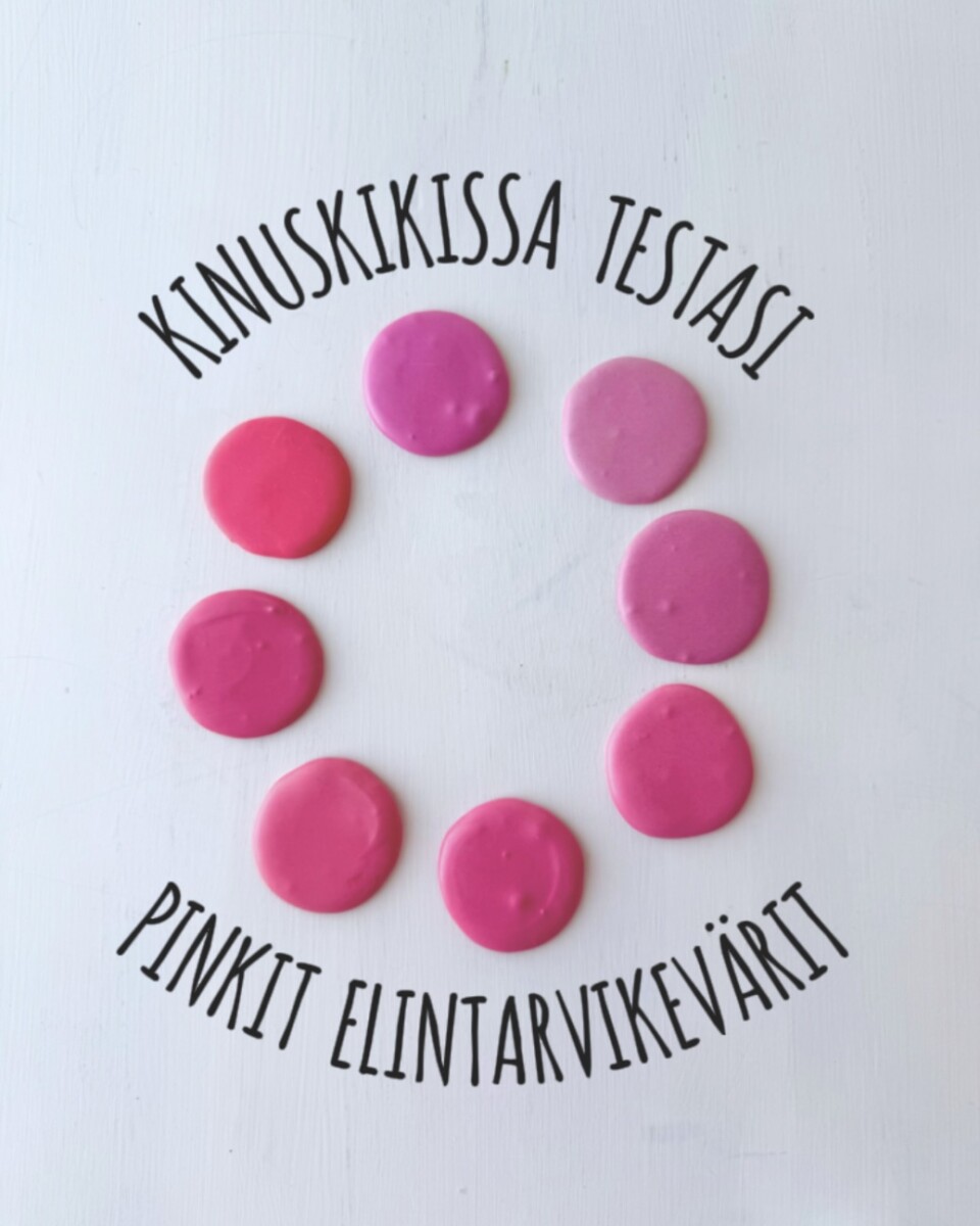 https://www.kinuskikissa.fi/wp-content/uploads/kinuskit/thumbs/2_IMG_6268-2_400x400.jpeg